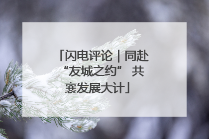 闪电评论｜同赴“友城之约” 共襄发展大计
