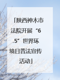 陕西神木市法院开展“6.5”世界环境日普法宣传活动