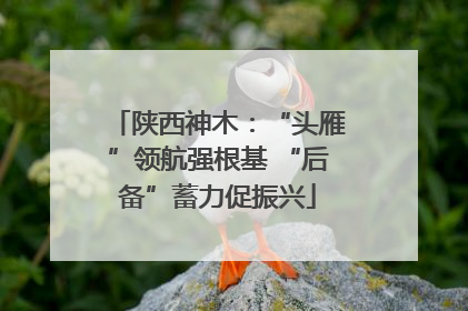 陕西神木：“头雁”领航强根基 “后备”蓄力促振兴