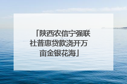 陕西农信宁强联社普惠贷款浇开万亩金银花海