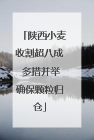 陕西小麦收割超八成 多措并举确保颗粒归仓