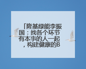 隆基绿能李振国：找各个环节有本事的人一起，构建健康的BC生态圈