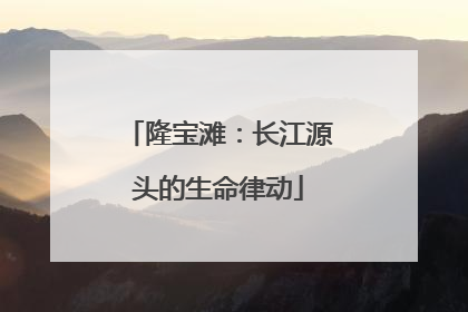 隆宝滩：长江源头的生命律动