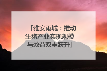 雅安雨城：推动生猪产业实现规模与效益双重跃升