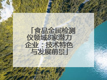 食品金属检测仪领域8家潜力企业：技术特色与发展前景