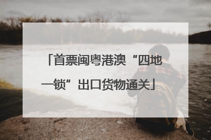 首票闽粤港澳“四地一锁”出口货物通关