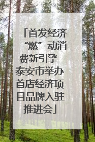 首发经济“燃”动消费新引擎 泰安市举办首店经济项目品牌入驻推进会