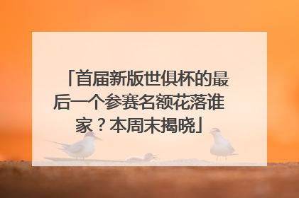 首届新版世俱杯的最后一个参赛名额花落谁家？本周末揭晓