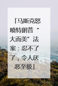 马斯克怒喷特朗普“大而美”法案：忍不了了，令人厌恶至极