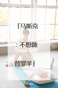 马斯克：不想做替罪羊