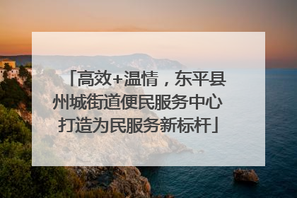 高效+温情，东平县州城街道便民服务中心打造为民服务新标杆