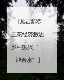 龙岩新罗：兰花经济激活乡村振兴“一池春水”