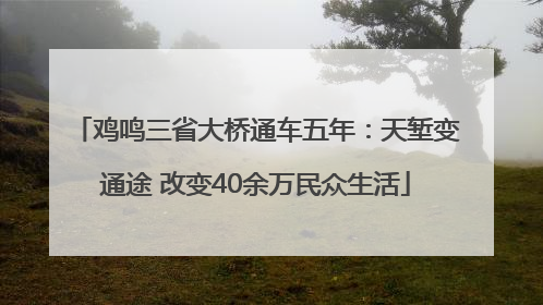鸡鸣三省大桥通车五年：天堑变通途 改变40余万民众生活
