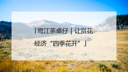 鹭江茶桌仔｜让赏花经济“四季花开”