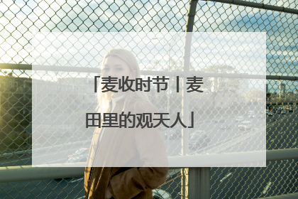 麦收时节丨麦田里的观天人