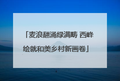 麦浪翻涌绿满畴 西峰绘就和美乡村新画卷