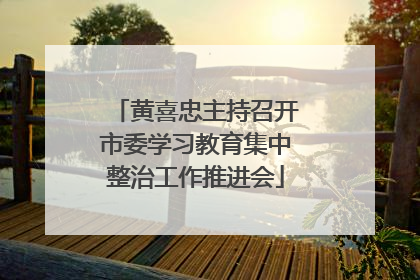 黄喜忠主持召开市委学习教育集中整治工作推进会