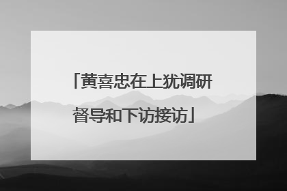 黄喜忠在上犹调研督导和下访接访