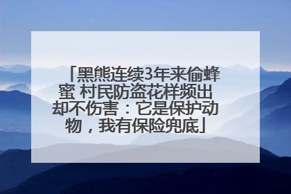 黑熊连续3年来偷蜂蜜 村民防盗花样频出却不伤害：它是保护动物，我有保险兜底