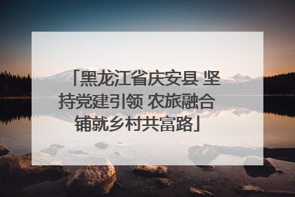 黑龙江省庆安县 坚持党建引领 农旅融合铺就乡村共富路