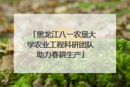 黑龙江八一农垦大学农业工程科研团队助力春耕生产