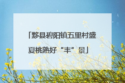 黟县碧阳镇五里村盛夏桃熟好“丰”景
