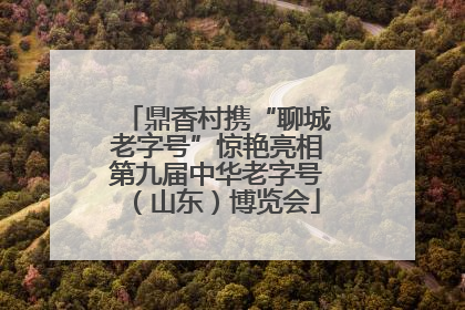 鼎香村携“聊城老字号”惊艳亮相第九届中华老字号（山东）博览会