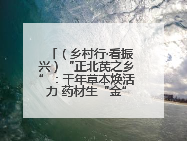 （乡村行·看振兴）“正北芪之乡”：千年草本焕活力 药材生“金”富农家