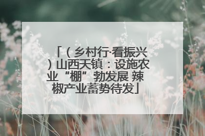 （乡村行·看振兴）山西天镇：设施农业“棚”勃发展 辣椒产业蓄势待发