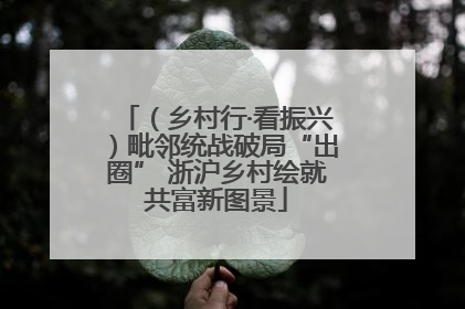 （乡村行·看振兴）毗邻统战破局“出圈” 浙沪乡村绘就共富新图景