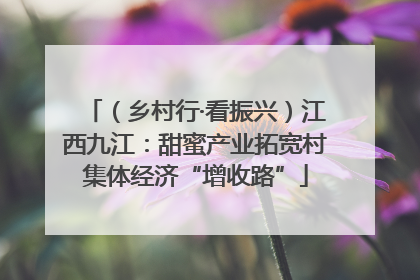 （乡村行·看振兴）江西九江：甜蜜产业拓宽村集体经济“增收路”