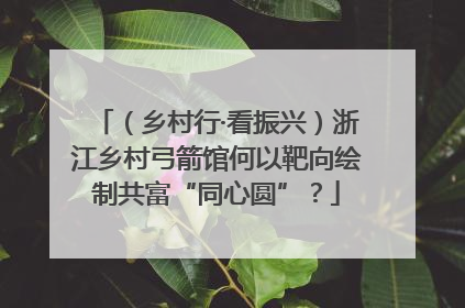 （乡村行·看振兴）浙江乡村弓箭馆何以靶向绘制共富“同心圆”？