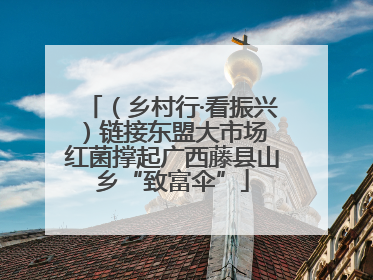 （乡村行·看振兴）链接东盟大市场 红菌撑起广西藤县山乡“致富伞”