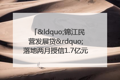 “锦江民营发展贷”落地两月授信1.7亿元，惠及118家民企