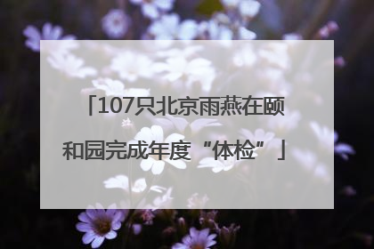 107只北京雨燕在颐和园完成年度“体检”