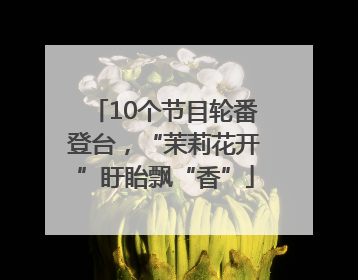 10个节目轮番登台，“茉莉花开”盱眙飘“香”