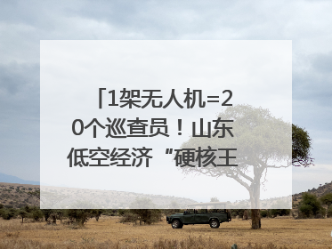 1架无人机=20个巡查员！山东低空经济“硬核王炸”亮相青岛，下一个万亿赛道藏在这里