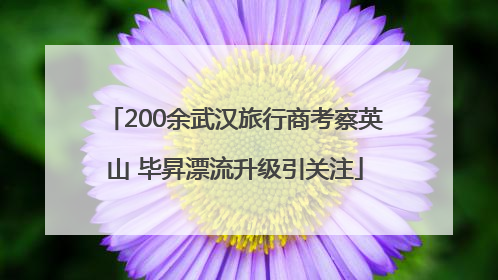 200余武汉旅行商考察英山 毕昇漂流升级引关注
