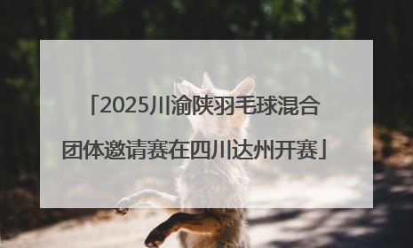 2025川渝陕羽毛球混合团体邀请赛在四川达州开赛
