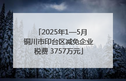 2025年1—5月铜川市印台区减免企业税费 3757万元
