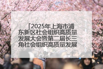 2025年上海市浦东新区社会组织高质量发展大会暨第二届长三角社会组织高质量发展峰会成功举办