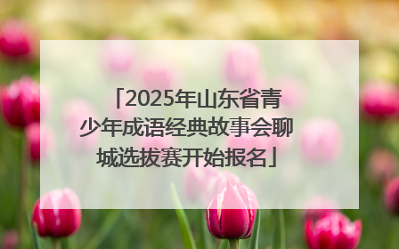 2025年山东省青少年成语经典故事会聊城选拔赛开始报名