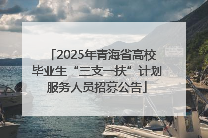 2025年青海省高校毕业生“三支一扶”计划服务人员招募公告