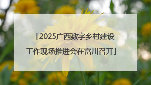 2025广西数字乡村建设工作现场推进会在富川召开