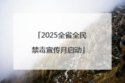 2025全省全民禁毒宣传月启动