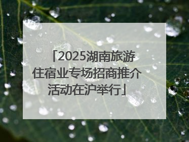 2025湖南旅游住宿业专场招商推介活动在沪举行