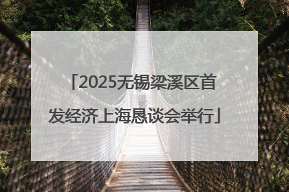 2025无锡梁溪区首发经济上海恳谈会举行