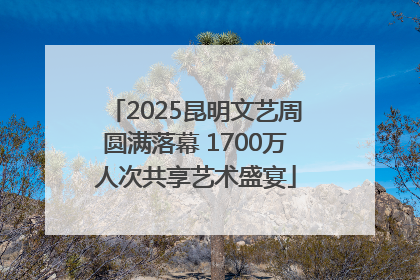 2025昆明文艺周圆满落幕 1700万人次共享艺术盛宴