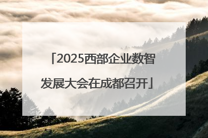 2025西部企业数智发展大会在成都召开