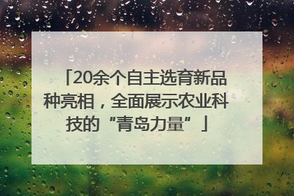 20余个自主选育新品种亮相，全面展示农业科技的“青岛力量”